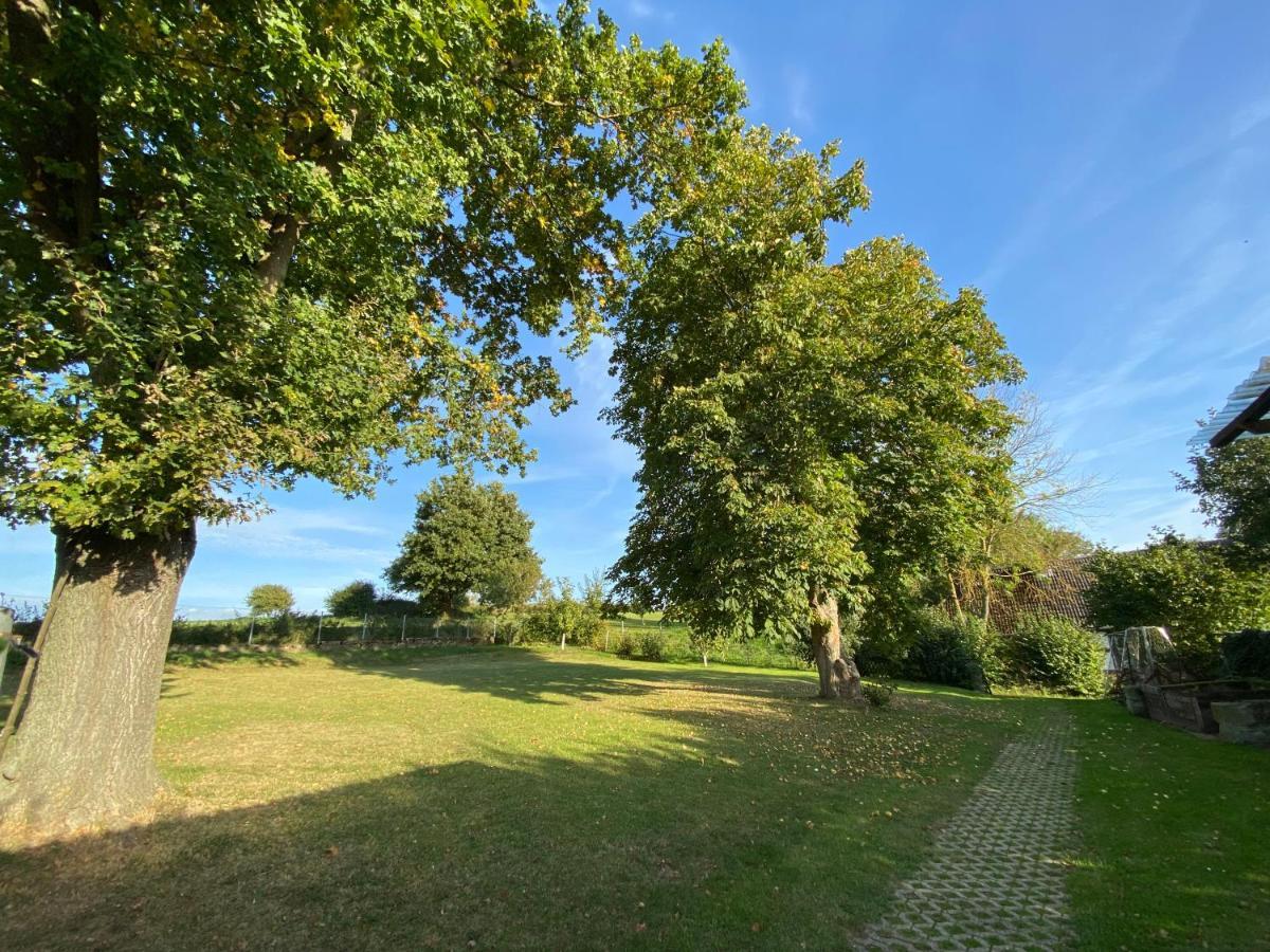 Ferienwohnung Riese Nordhessen Felsberg المظهر الخارجي الصورة