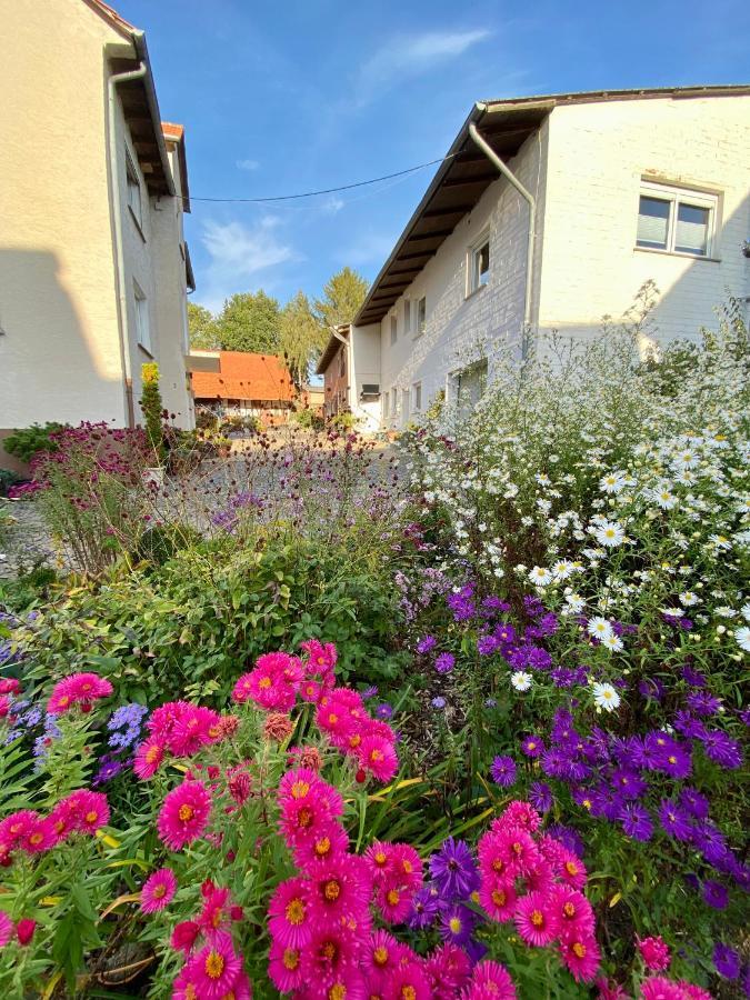 Ferienwohnung Riese Nordhessen Felsberg المظهر الخارجي الصورة